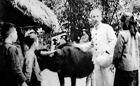 Trang hinh anh